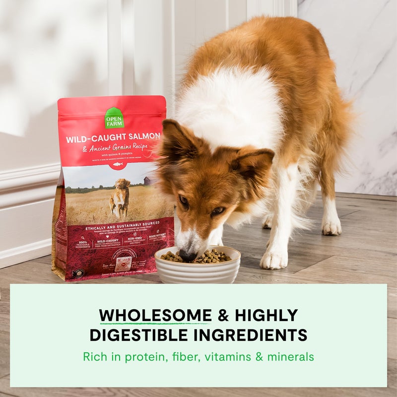 Open Farm, Ancient Grains Dry Dog Food, Protein-Rich & Nutrient Dense, 90% Animal Protein Mixed with Non-GMO Fruits, Veggies and Superfoods, Wild Caught Salmon Recipe, 22lb Bag - Image 3