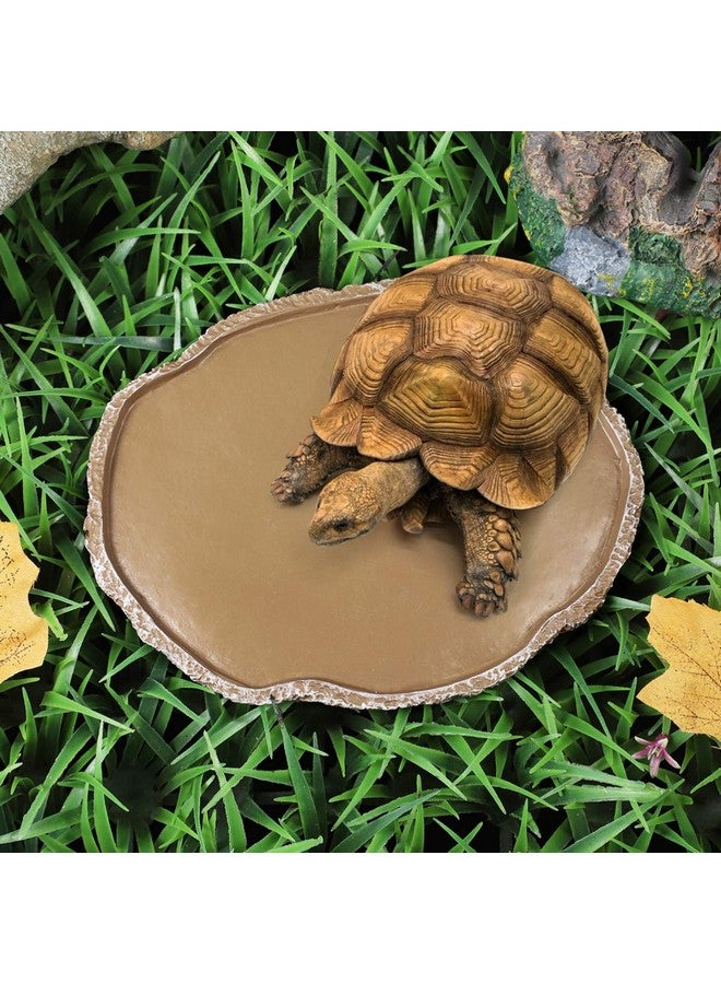 UEETEK Reptile Water Dish Reptile Feeding Plate : Resin Reptile Water Bowl Reptile Food Dish for Snakes Turtles Lizards, 7 x 5.5 x 0.3 inch - Image 3