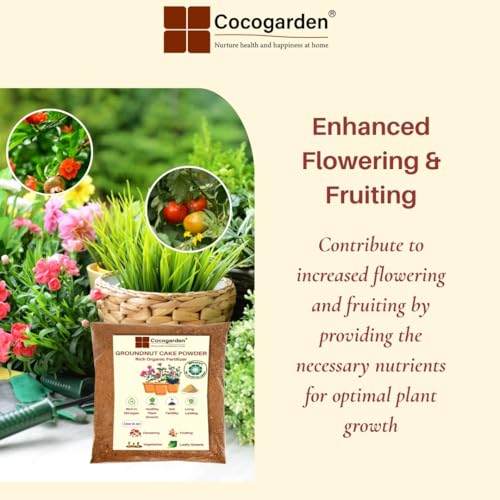 Cocogarden Groundnut Cake Fertilizer for Plants 1.8 kg,Organic Fertilizer for enhanced Flowering and Fruiting - Image 4