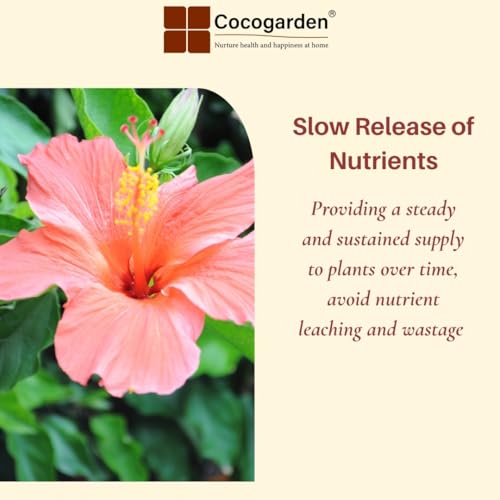 Cocogarden Groundnut Cake Fertilizer for Plants 1.8 kg,Organic Fertilizer for enhanced Flowering and Fruiting - Image 5