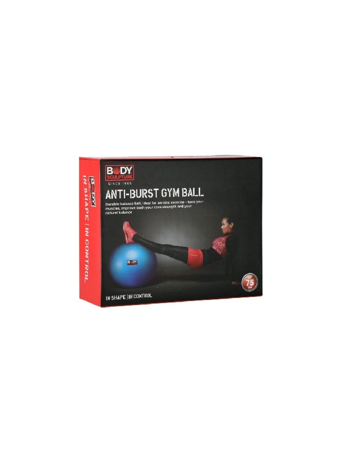 BODY SCULPTURE Anti Burst Round Gym Ball Pink 75 cm BB-001TSV-26N  - Image 2