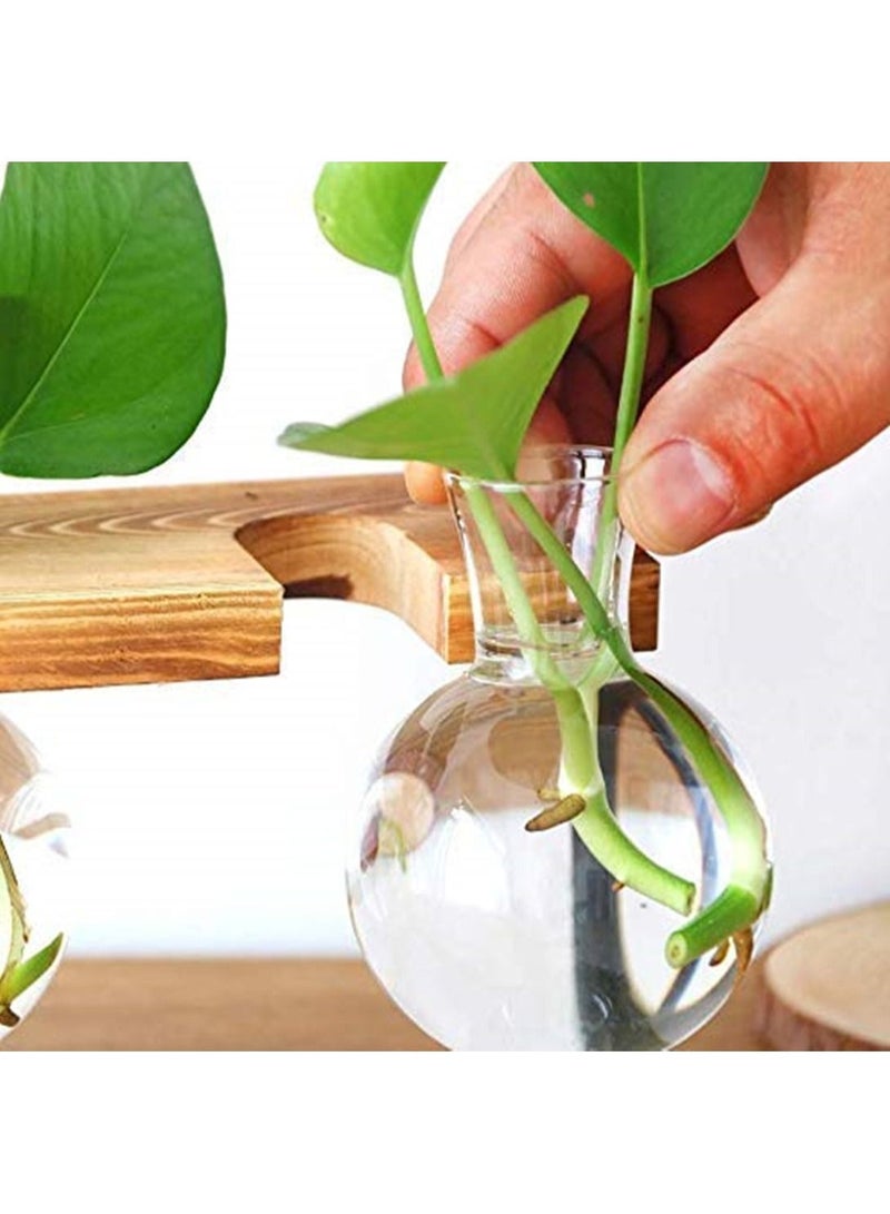 Generic Desktop Glass Flower Pot 3 Bulbs Vase with Retro Solid Wood Small Bench Frame for Hydroponic Plant Family Garden Wedding Decoration - Image 3