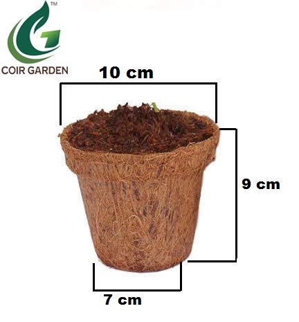 COIR GARDEN Iron Seedling Cups, 10cm, 10 Pieces - Image 2