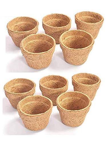 COIR GARDEN Iron Seedling Cups, 10cm, 10 Pieces - Image 1