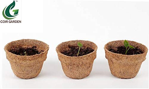 COIR GARDEN Iron Seedling Cups, 10cm, 10 Pieces - Image 5