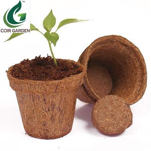 COIR GARDEN Iron Seedling Cups, 10cm, 10 Pieces - Image 3