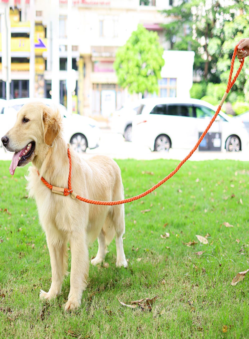 DogLemi Dog Leash Slip Rope Braided Rope 1.7m Heavy Duty No Pull Training Leash for Small Medium Large Dogs - Image 2