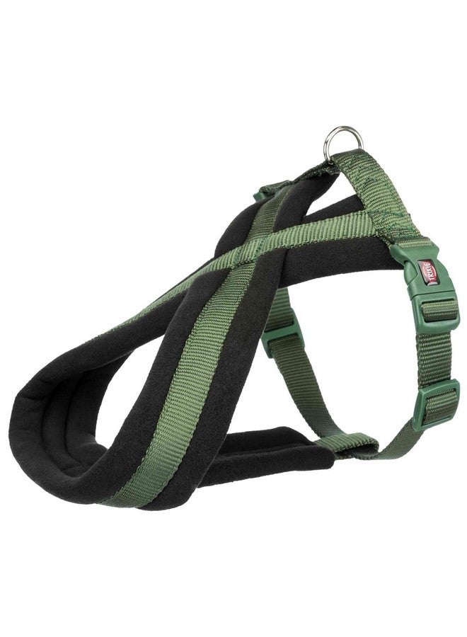 تريكسي حزام تجوال ممتاز للكلاب | مصنوع من حشوة من الصوف، وقابل للتعديل، وخفيف الوزن | حلقة D قوية تحافظ على الحزام والمقود في مكانهما - M 45-80 سم/25 مم Forest