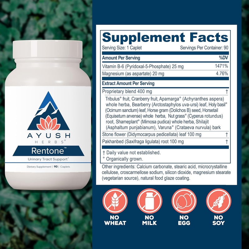 Ayush Herbs Rentone  Kidney Support Supplement with Cranberry Kidney Cleanse Pills for Women  Men Urinary Health  Bladder Function  90 Vegetarian Capsules 1 Count - Image 3