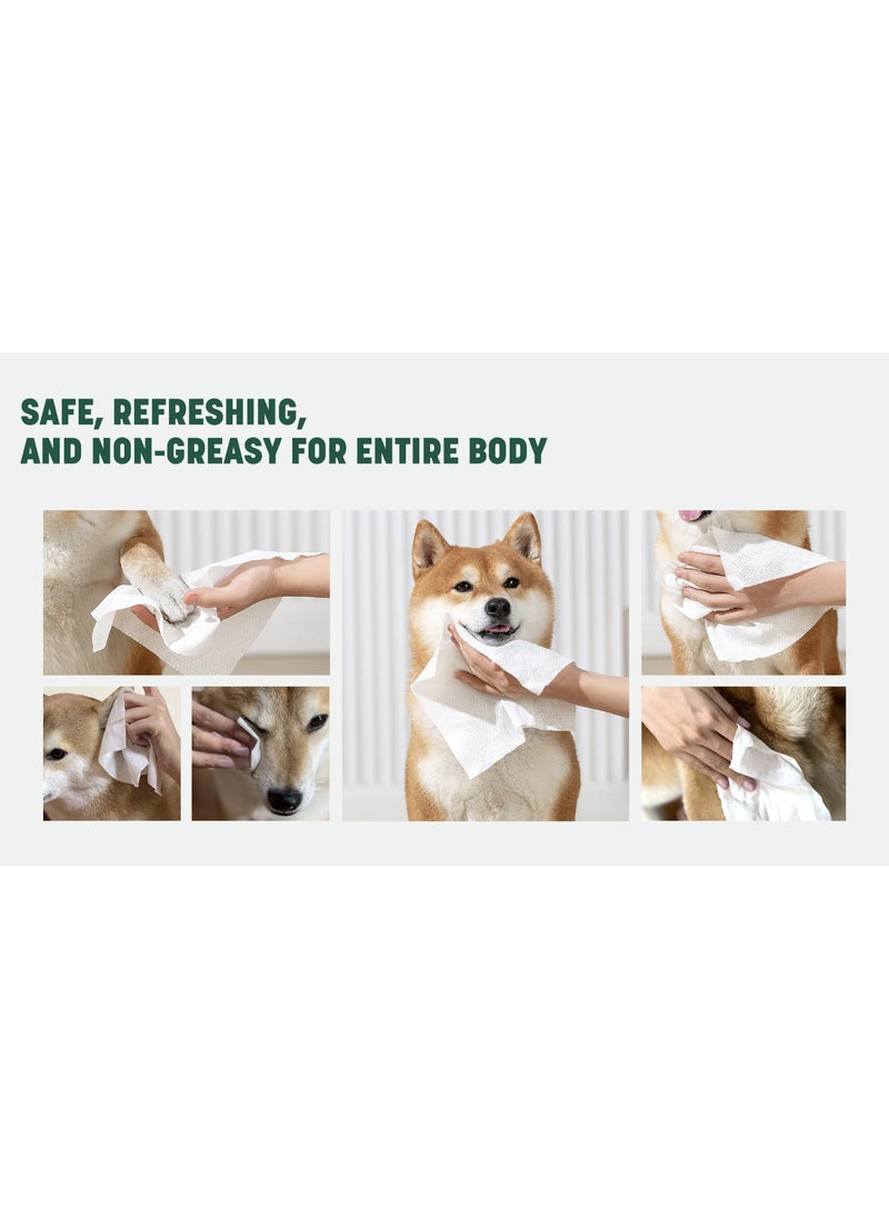 owocare - Owocare Pet Wipes Blueberry Scent 50 sheets - Image 1