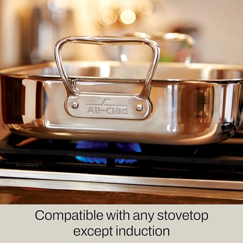 All-Clad Specialty Stainless Steel Roaster with Nonstick Rack 11x14 Inch Oven Broiler Safe 600F Roaster Pan, Pots and Pans, Bakeware, Silver - Image 3