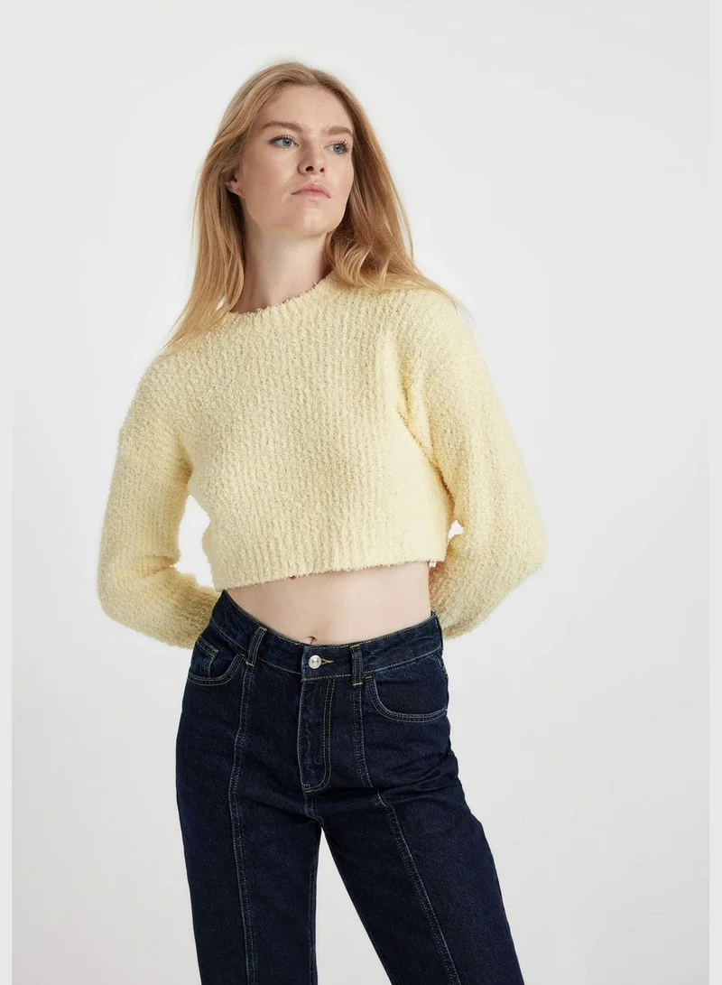 DeFacto Woman Crew Neck Long Sleeve Tricot Pullover