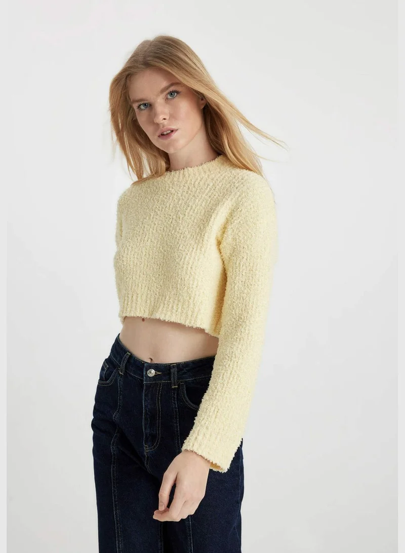 DeFacto Woman Crew Neck Long Sleeve Tricot Pullover