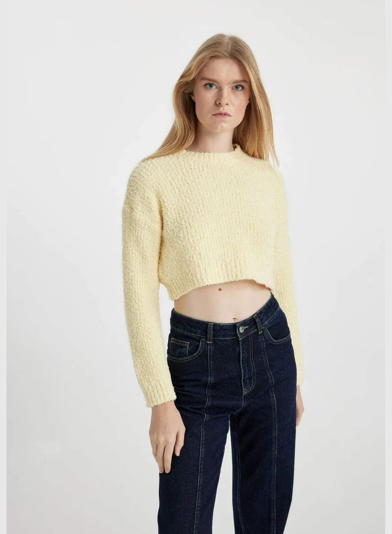 DeFacto Woman Crew Neck Long Sleeve Tricot Pullover