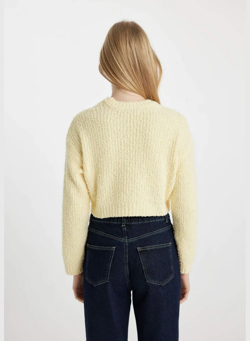 DeFacto Woman Crew Neck Long Sleeve Tricot Pullover