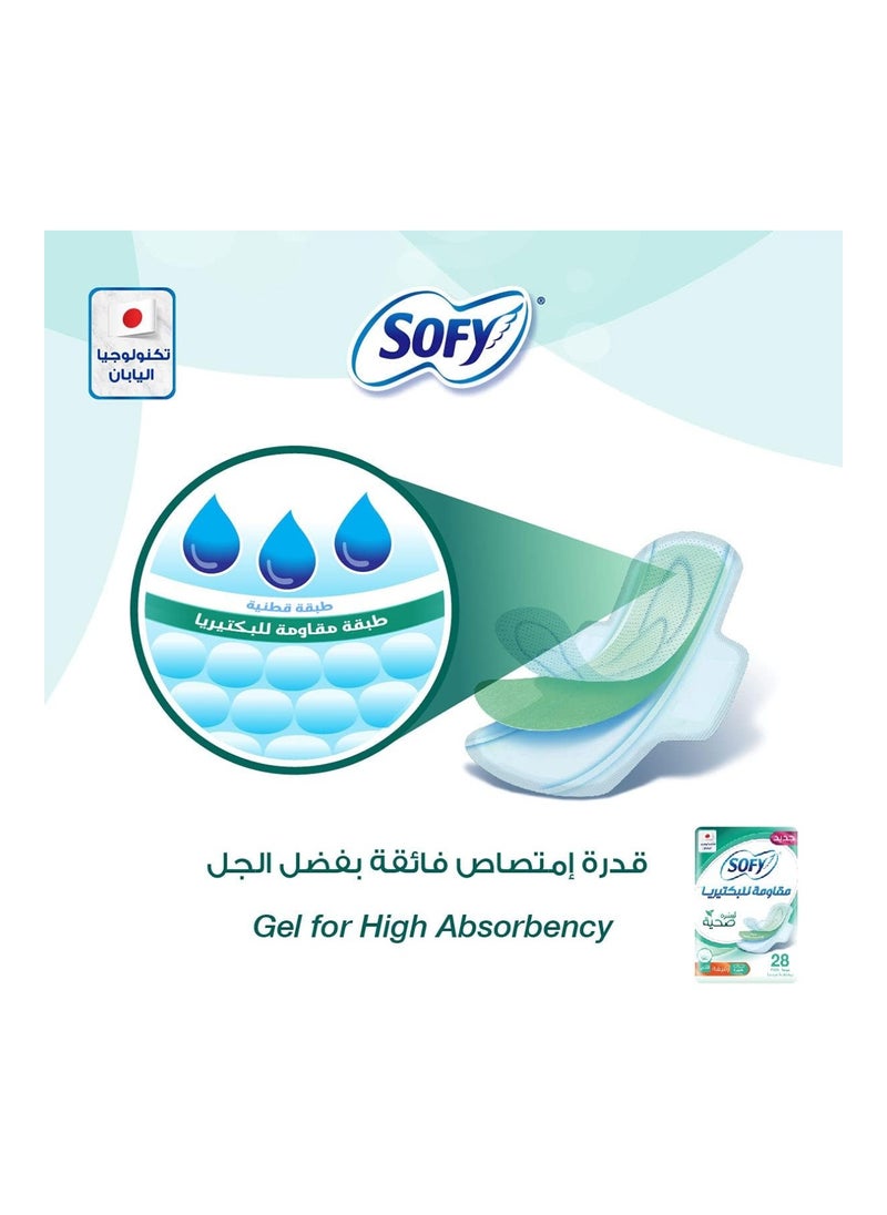 Slim Anti Bacteria Sanitary Napkin, Large, 29 Cm, 28 Pieces - pzsku/ZCEA8CFE652C402621C83Z/45/_/1699590830/a1ac1d13-c819-41e8-a9e4-cfb0718b7c57