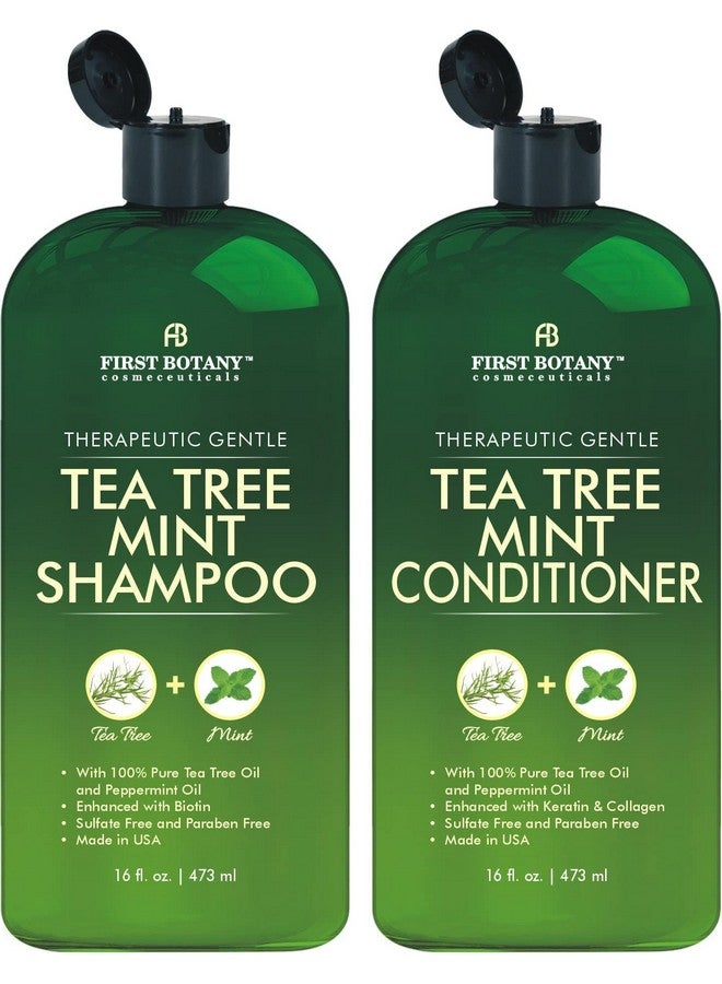 First Botany Tea Tree Mint Shampoo and Conditioner - Pure Tea Tree Oil & Peppermint Oil - Fights Hair Loss, Promotes Hair Growth, Fights Dandruff, Lice & Itchy Scalp - for Men and Women Sulfate Free - 16 fl oz x 2 - Image 1