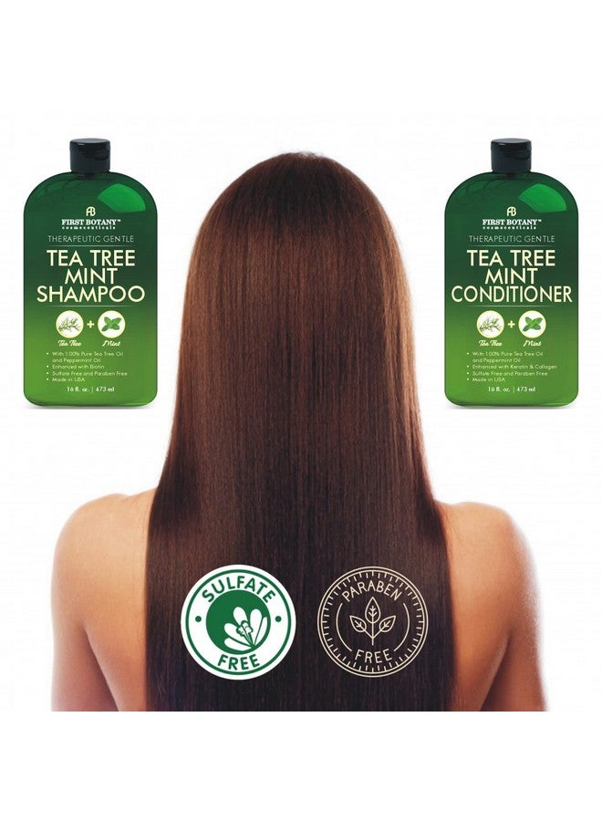 First Botany Tea Tree Mint Shampoo and Conditioner - Pure Tea Tree Oil & Peppermint Oil - Fights Hair Loss, Promotes Hair Growth, Fights Dandruff, Lice & Itchy Scalp - for Men and Women Sulfate Free - 16 fl oz x 2 - Image 4