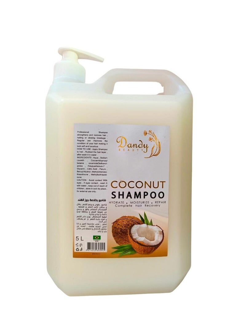Dandy Beauty Hair Shampoo, Complete Hair Recovery, 5L (Coconut) - Image 1
