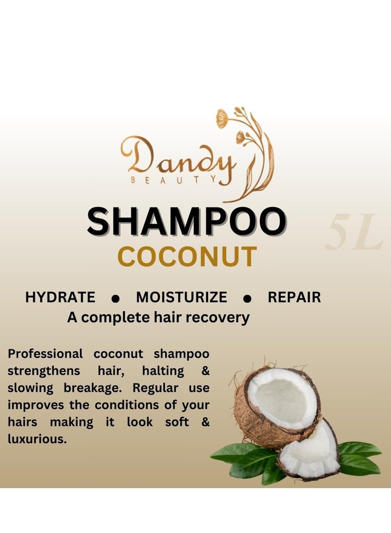 Dandy Beauty Hair Shampoo, Complete Hair Recovery, 5L (Coconut) - Image 2