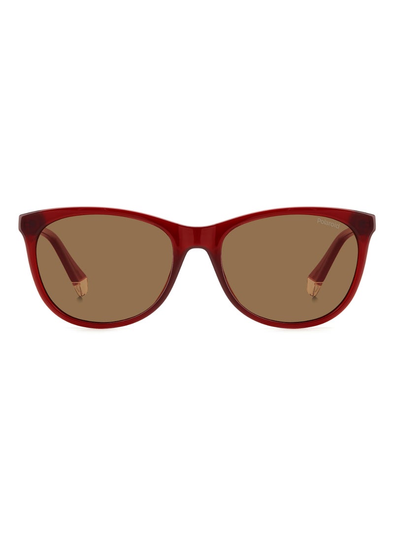 Polaroid Women's Polarized Rectangular Shape  Sunglasses PLD 4161/S GOLD 44 - Lens Size: 43.7 Mm - Burgundy  - Image 3