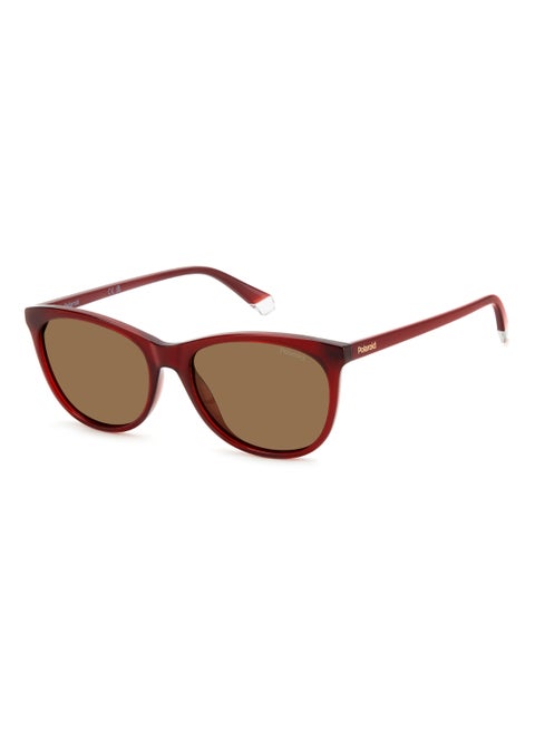 Women's Polarized Rectangular Shape  Sunglasses PLD 4161/S GOLD 44 - Lens Size: 43.7 Mm - Burgundy