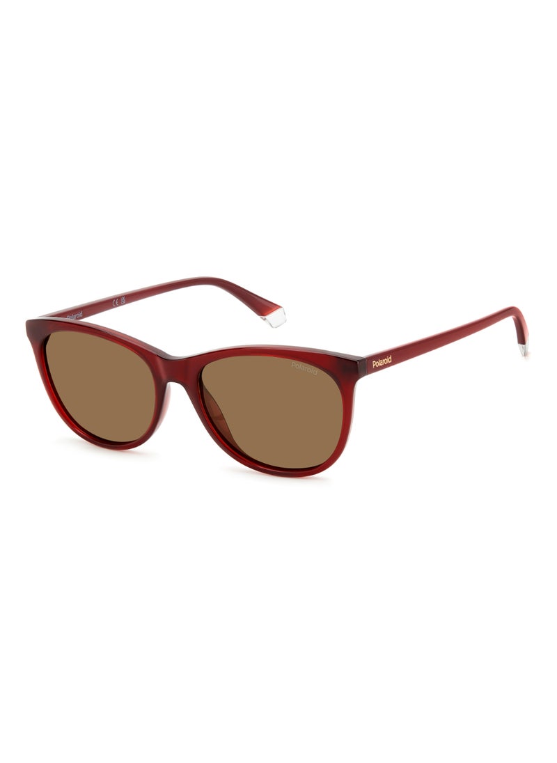 Polaroid Women's Polarized Rectangular Shape  Sunglasses PLD 4161/S GOLD 44 - Lens Size: 43.7 Mm - Burgundy  - Image 1