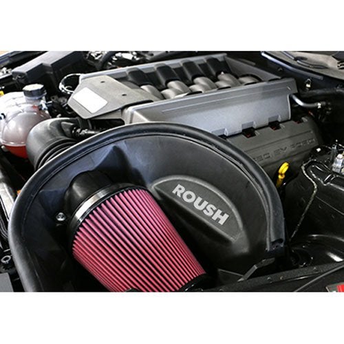Roush 2015+ Mustang 5.0L - Image 1