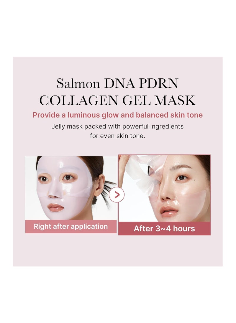 Medicube Medicube Salmon DNA PDRN Pink Collagen Jelly Gel Mask | Overnight Face Mask for Glass Glow Skin | Anti-Aging & Elasticity Boost | Hydrating, Firming & Moisturizing | K-Beauty Skincare |  4 Packs Only  - Image 3