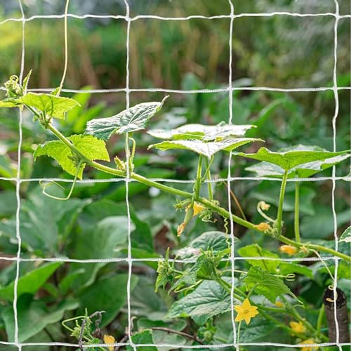 Tcamp Heavy-Duty Polyester Garden Trellis Netting Plant Climbing Net for Growing Vines Plants Vegetables Fruits Flowers, White Grow Tent (5Ft x15Ft, 3.5" Opening Mesh, 1 Pack) - Image 1
