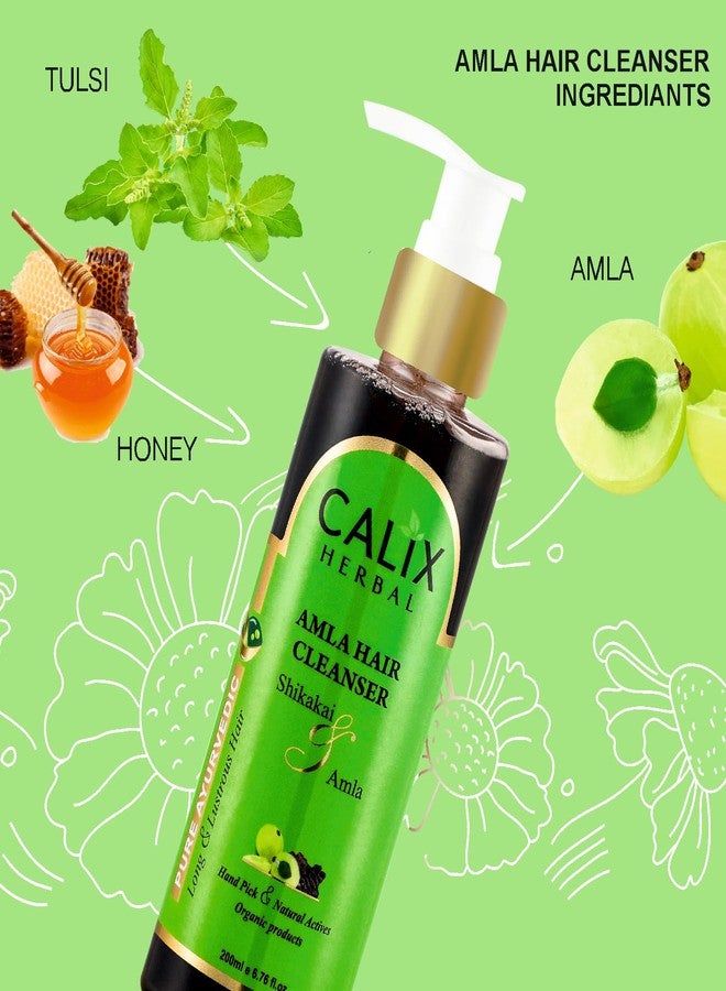 كلاليكس هيربال شامبو كاليكس هيربال العضوي والأيورفيدي لتنظيف الشعر بالأملا 200 مل + حناء مهندي 100 جم + بلسم للشعر (مع الحناء) 200 مل - مجموعة متكاملة للعناية بالشعر للرجال والنساء وجميع أنواع الشعر - Image 3