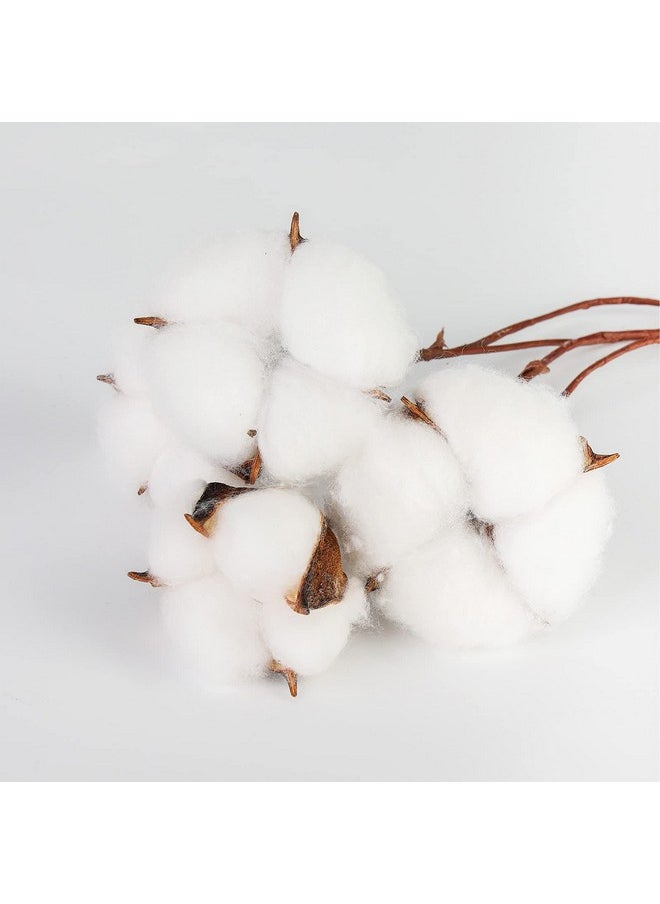 DomeStar DomeStar 30PCS Cotton Stems, 15" Natural Dried Cotton 120 Cotton Balls Cotton Sprigs Cotton Blooms Floral Stems for Vase Fillers  - Image 3