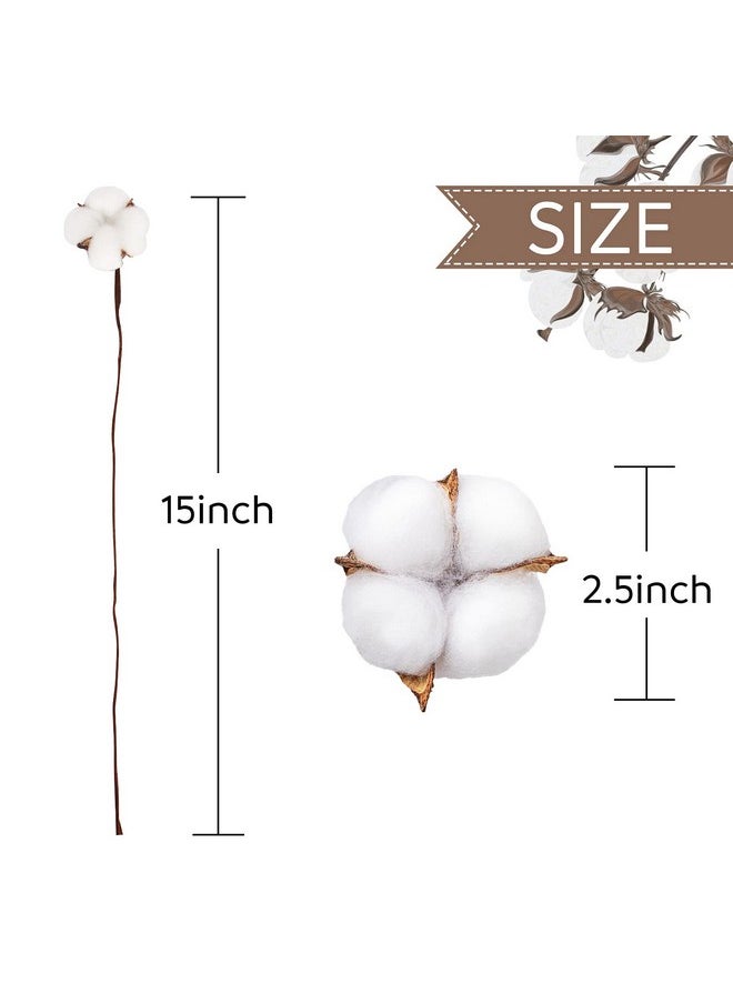 DomeStar DomeStar 30PCS Cotton Stems, 15" Natural Dried Cotton 120 Cotton Balls Cotton Sprigs Cotton Blooms Floral Stems for Vase Fillers  - Image 2