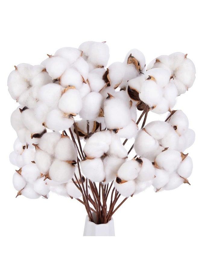 DomeStar DomeStar 30PCS Cotton Stems, 15" Natural Dried Cotton 120 Cotton Balls Cotton Sprigs Cotton Blooms Floral Stems for Vase Fillers  - Image 1