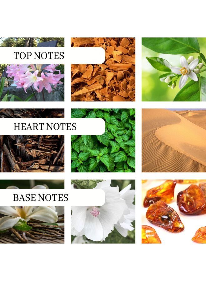 أتلانتيك عطر ميد سمر نايت 100 مل او دى بارفان للنساء - Image 4