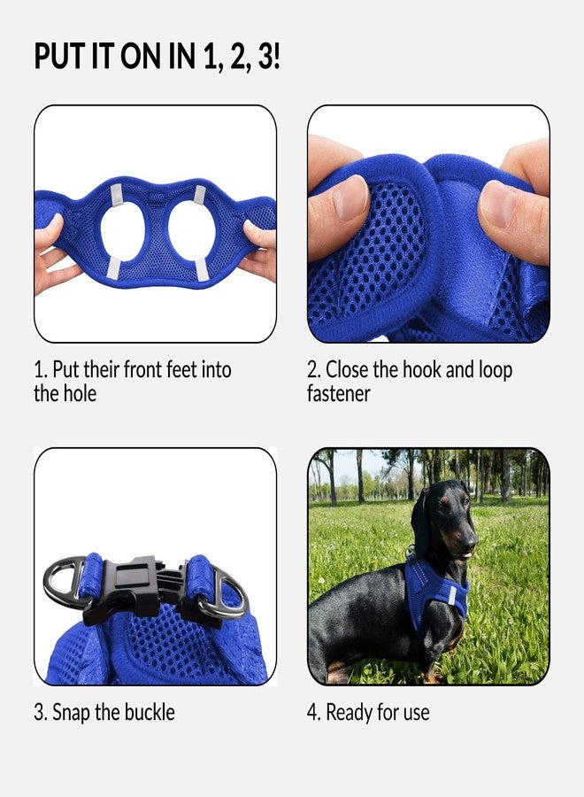 CollarDirect Step-in Reflective Dog Harness - Any Weather Air Mesh for Small and Medium Dogs Easy to Put On and Off (Size M, Dark Blue) - Image 4