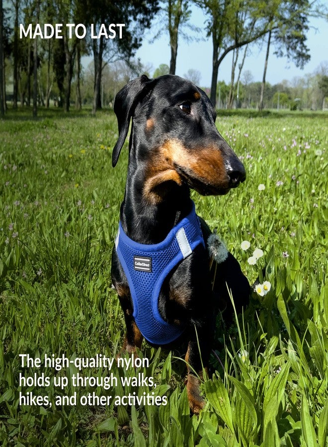 CollarDirect Step-in Reflective Dog Harness - Any Weather Air Mesh for Small and Medium Dogs Easy to Put On and Off (Size M, Dark Blue) - Image 5