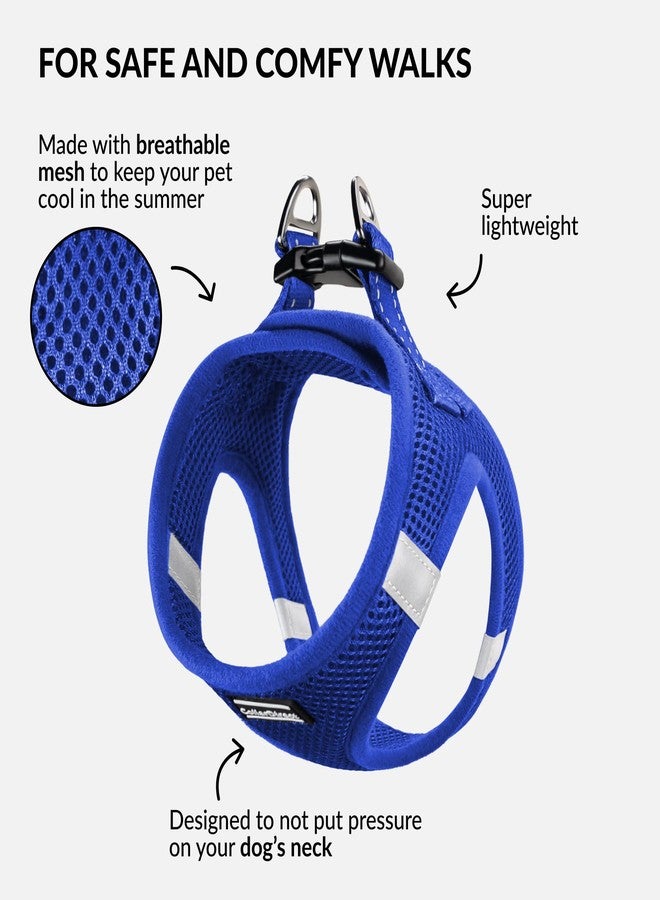 CollarDirect Step-in Reflective Dog Harness - Any Weather Air Mesh for Small and Medium Dogs Easy to Put On and Off (Size M, Dark Blue) - Image 2