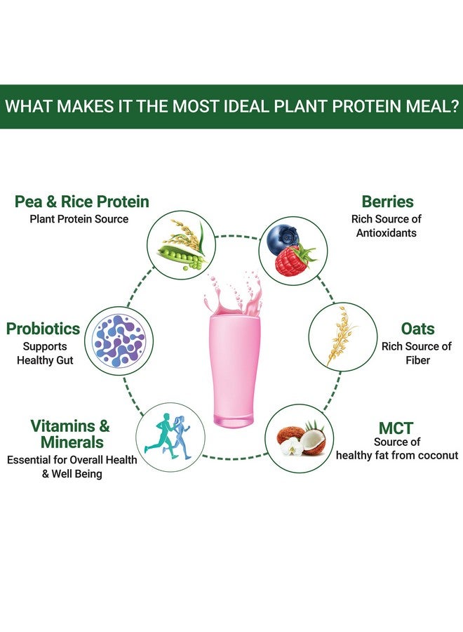 Inlife مشروب استبدال الوجبات النباتي من INLIFE | مسحوق بروتين نباتي (17.5 بروتين) خالي من السكر، خالي من اللاكتوز | مع بروبيوتيك مضاف، 500 جرام (توت مختلط) - Image 5