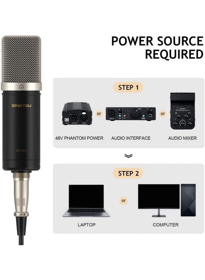 XLR Microphone, Professional Studio Mic Kit for Recording, Podcast, Streaming, YouTube, VoiceOver, Vocal – Includes Boom Arm, Shock Mount, Pop Filter, Windscreen, Cable Ties – CA1 (Nickel) - Image 2