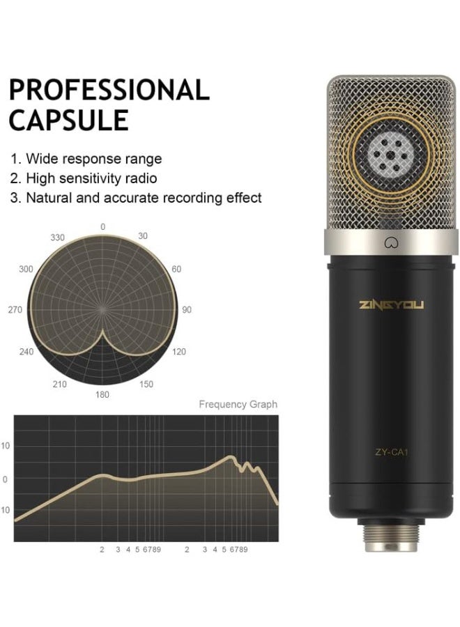 XLR Microphone, Professional Studio Mic Kit for Recording, Podcast, Streaming, YouTube, VoiceOver, Vocal – Includes Boom Arm, Shock Mount, Pop Filter, Windscreen, Cable Ties – CA1 (Nickel) - Image 3