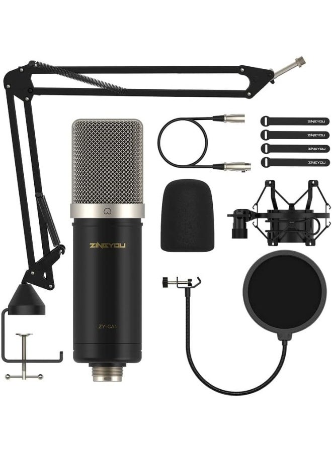 XLR Microphone, Professional Studio Mic Kit for Recording, Podcast, Streaming, YouTube, VoiceOver, Vocal – Includes Boom Arm, Shock Mount, Pop Filter, Windscreen, Cable Ties – CA1 (Nickel) - Image 1