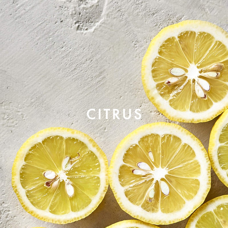 ALFRED SUNG عطر ألفريد سونغ للنساء، سونغ من ألفريد سونغ، بخاخ أو دو تواليت، 1 أونصة سائلة - Image 3