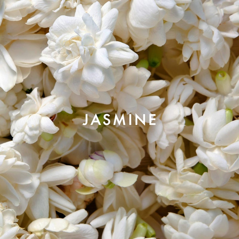 ALFRED SUNG عطر ألفريد سونغ للنساء، سونغ من ألفريد سونغ، بخاخ أو دو تواليت، 1 أونصة سائلة - Image 4