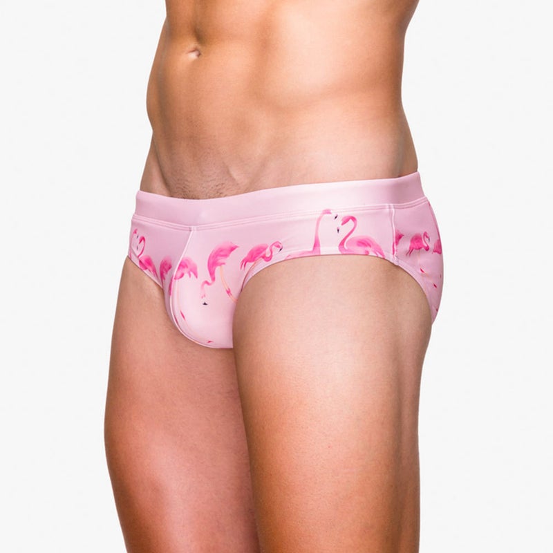 UXH and trend Flamingo printing with Cup stereo triangle swimming trunks foreign trade beach bikini swimming trunks - Image 4