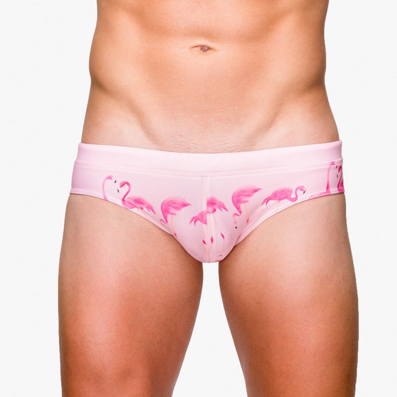 UXH and trend Flamingo printing with Cup stereo triangle swimming trunks foreign trade beach bikini swimming trunks - Image 5