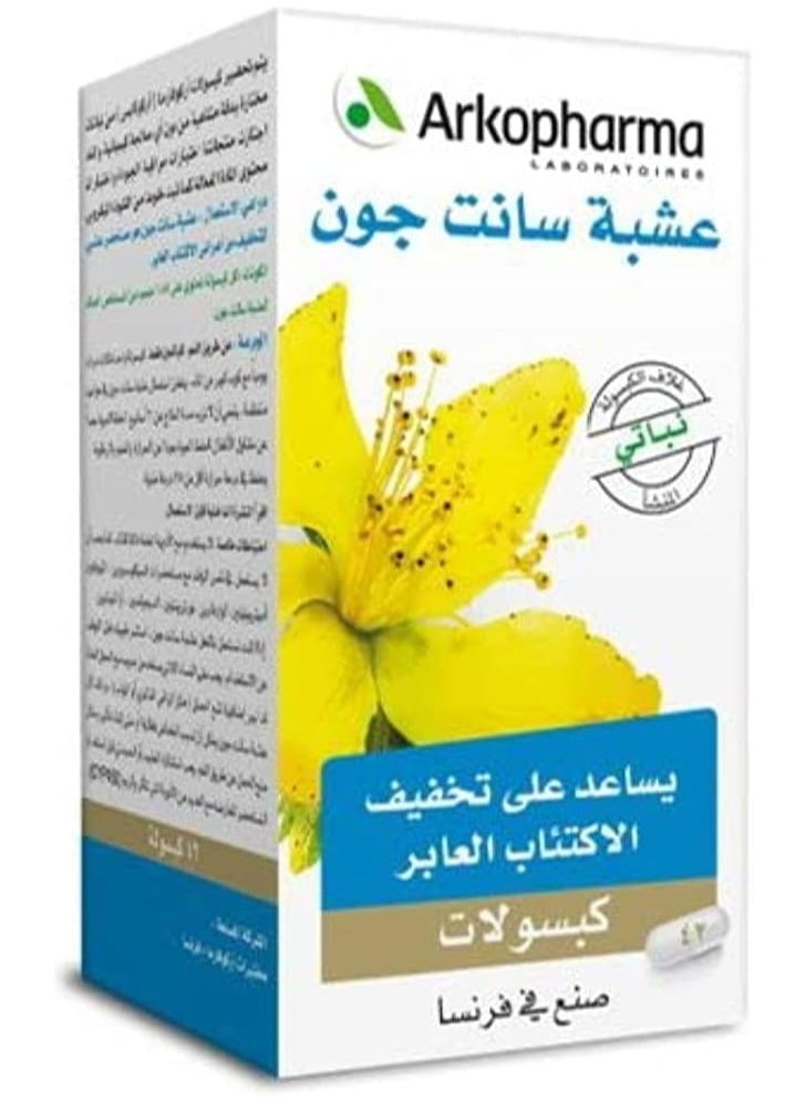 مكمل غذائي، سانت جونز وورت - 42 كبسولة - pzsku/ZCEB514BDB0EBCA06CD7FZ/45/_/1708249080/b26e6c57-aa38-4540-a4c0-44b202671efd