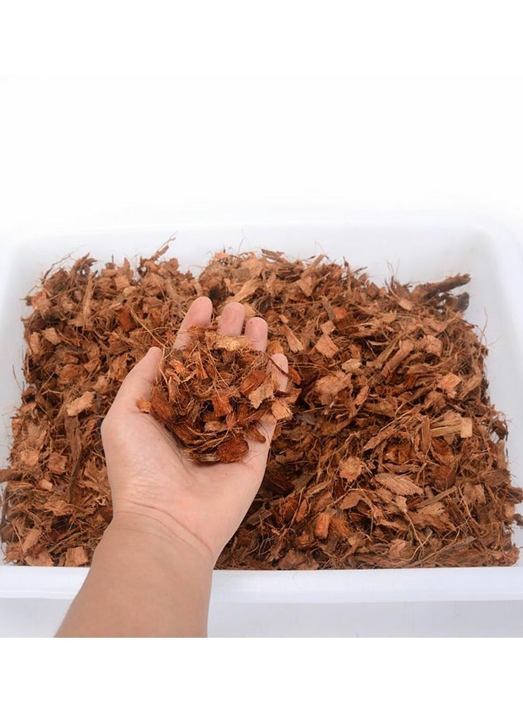Happy Twigs 1Pack Premium Coconut Chunks Bricks for Planting & Reptile Habitat, Eco-Friendly Growing Medium, Ideal for Hydroculture, Terrariums, and Reptile Enclosures 650g - Image 4