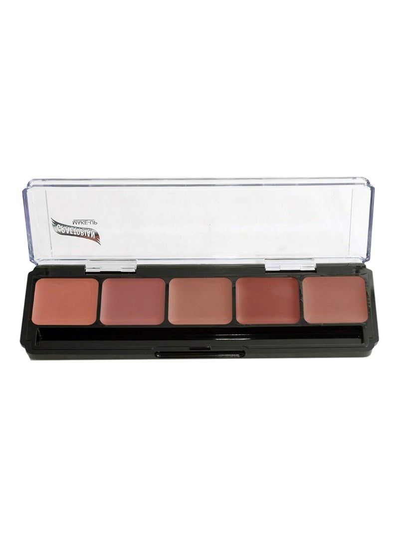 Graftobian Lip Palettes (Cool Lip Palette) - Image 1