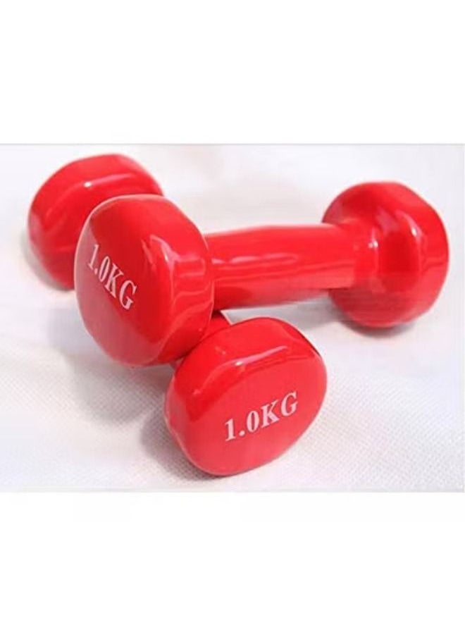 Exercise Dumbbell Yoga Dumbbell 2Pcs 1kg